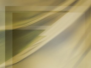 优秀视频会议团队的共同特质
